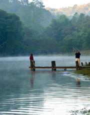 เพียงพอ Create