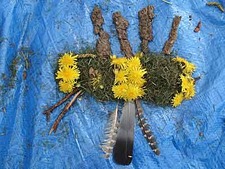 Miss Meyerhoffs Class