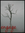 Zander Zink | 5 comments
