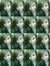 Assiren...