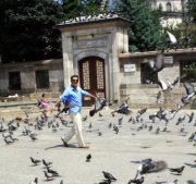 أحمد النعيمات