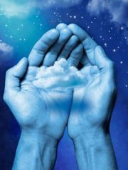 أبوأبرار الهمامي