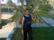 علاء العربي