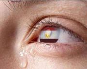 Ahmed Abd el rady