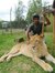Satyam ...