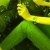 Rawan Salaymeh ʚɞ