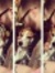 David Us