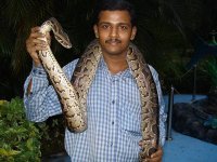 Ravikumar Jayasingam