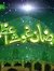 Aqeel A...