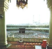 موسى الهاشم