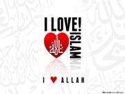 فارسة بنى هاشم
