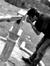 Anmol D...