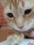 Kenzy M...