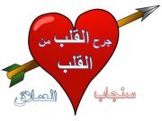 سنجاب العملاق