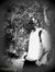 Ahmed T...