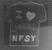 الشاعر كامل منصور