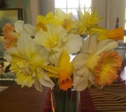 Barb Heneberry Scheren