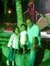 Rohit S...