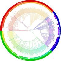 Skeptic Evolutionist