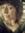 Silke N...