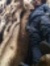 Ahmed S...