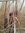 Chris Nevin (chrisnevin) | 2 comments