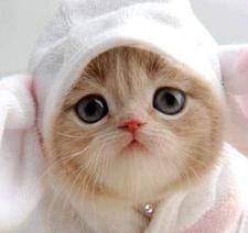 angela flecha flecha