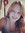 Kailey Ahearn