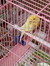 Bouthainah Abdullah 240521