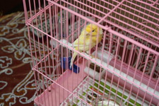 Bouthainah Abdullah  240521