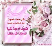 ياسر الحسيني