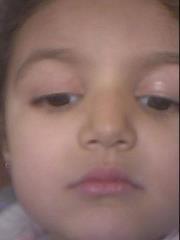 Hani Shaheen