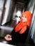 Hidayat...