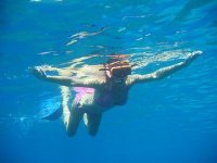 Celia Caputi daileader