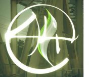 অনুসৃত অনুসারী