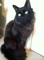 Eileen Sarett-cuasay