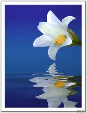 نورا النوري