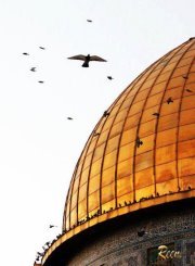 عبدالله سعدالدين