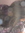 Aashwini | 3 comments