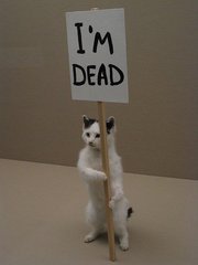 Эльбек Каримов