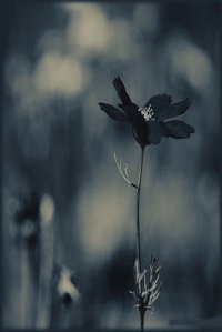 Mohamed  Moustafa Saber