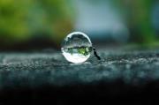 Pratik Dabhade