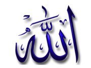 أخبار كواليس