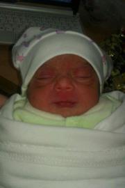 Abo Yahia