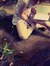 Anna Tamor