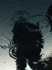 عبدالرحمن الفيفي