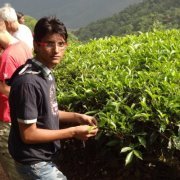 Suresh Seervi
