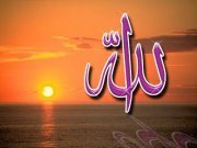 Amr Fathy