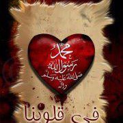 الدنيا الدنيا زى المرجحه