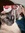 David Lopes | 3 comments